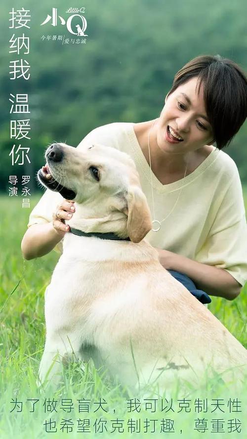 UserProfile:青河大学Sociologicaldegree